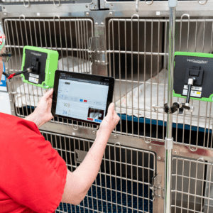 veterinarian watching patient with VETGuardian monitor
