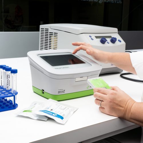 TF-on-lab-bench-small-scaled